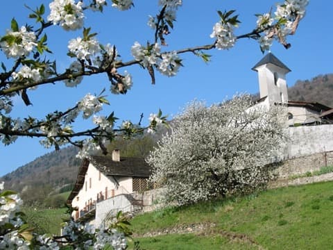 Maçon La Croix-de-la-Rochette