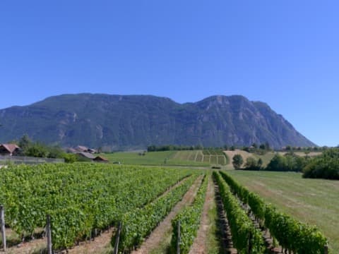 Maçon Porte-de-Savoie