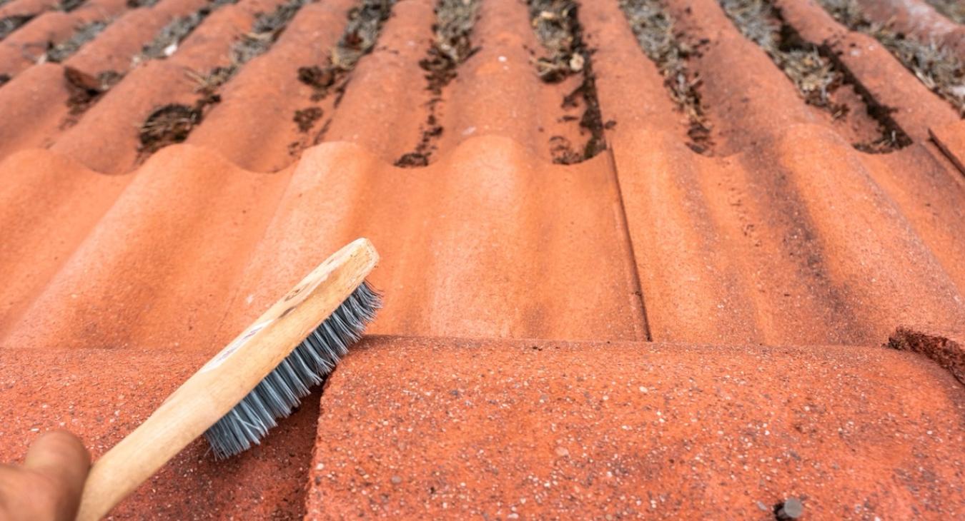 Nettoyage & Traitement hydrofuge de toiture 38 Isère 73 Savoie